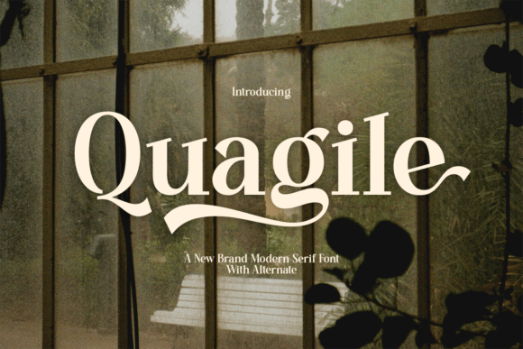 Quagile Font - Featured Image