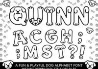 Quinn Font - Featured Image