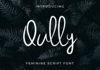 Qully Font - Featured Image