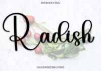 Radish Font - Featured Image