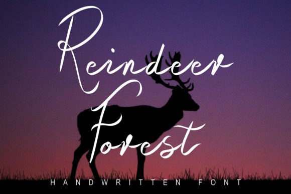 Raindeer Forest Font - Featured Image