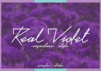 Real Violet Font - Featured Image