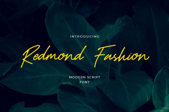 Redmond Fashion Font - Featured Image