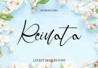 Reinata Font - Featured Image