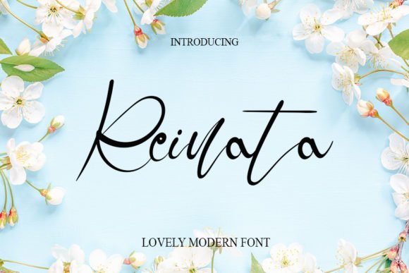 Reinata Font - Featured Image