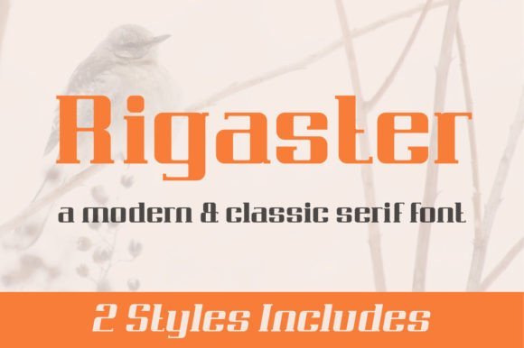 Rigaster Font - Featured Image