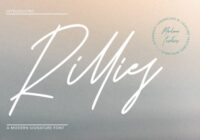 Rillies Font - Featured Image