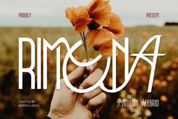 Rimona Font - Featured Image