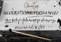 Roamfest Font - Featured Image