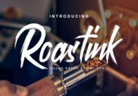 Roastink Script Font - Featured Image