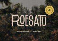 Roesatu Font - Featured Image