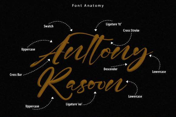 Romie Jason Font - Featured Image