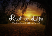 Root of Life Font - Featured Image