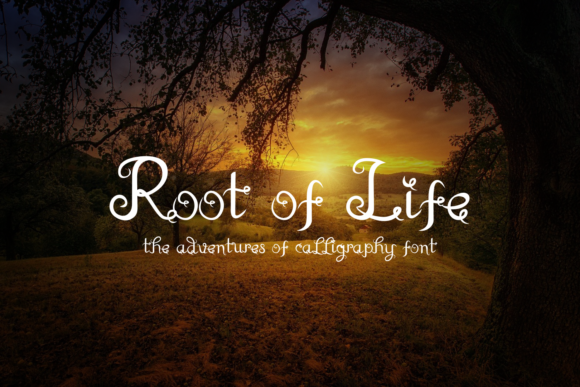 Root of Life Font - Featured Image