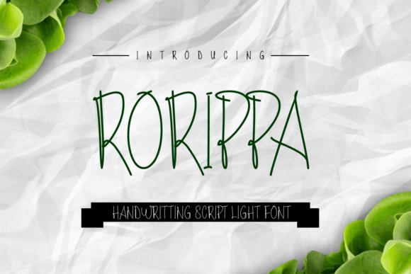 Rorippa Font - Featured Image