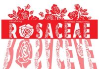 Rosaceae Font - Featured Image
