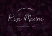 Rose Marine Font - Featured Image