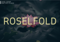 Roselfold Font - Featured Image