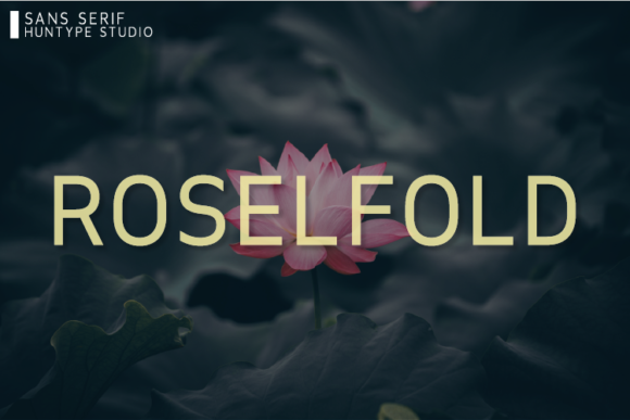 Roselfold Font - Featured Image