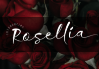Rosellia Font - Featured Image