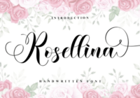 Rosellina Font - Featured Image