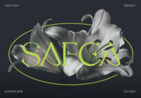 Safea Font - Featured Image