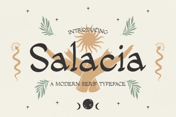 Salacia Font - Featured Image