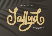 Sallyd Font - Featured Image