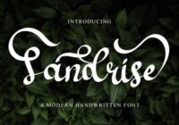Sandrise Font - Featured Image