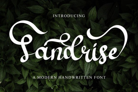 Sandrise Font - Featured Image