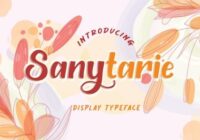 Sanytarie Font - Featured Image