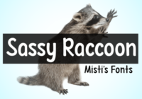 Sassy Raccoon Font - Featured Image