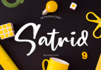 Satrid Font - Featured Image