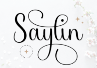 Saylin Font - Featured Image