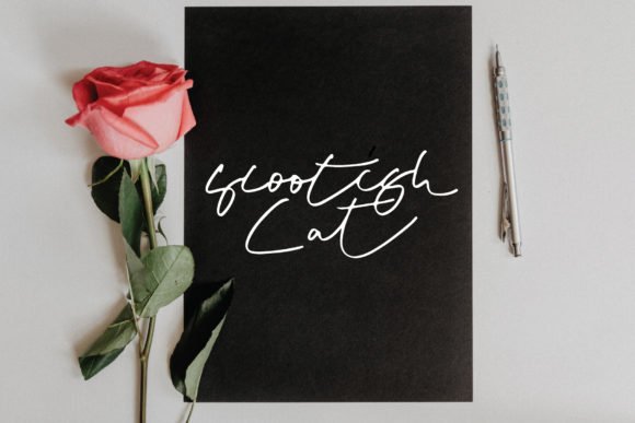 Scootish Cat Font - Featured Image