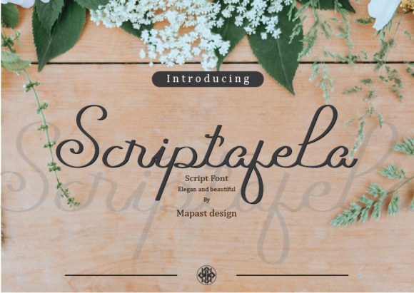 Scriptafela Font - Featured Image