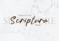 Scriptura Font - Featured Image