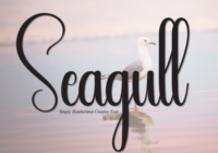 Seagull Font - Featured Image