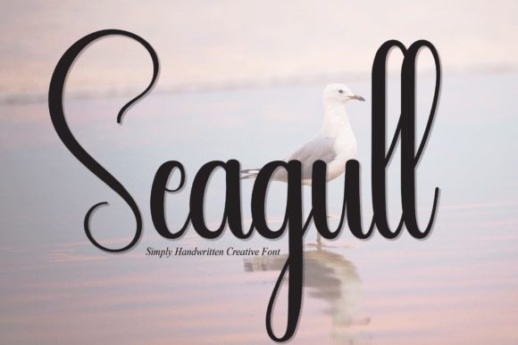 Seagull Font - Featured Image