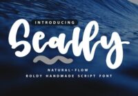 Seally Font - Featured Image