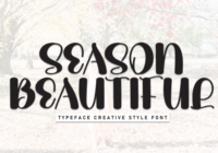 Season Beautiful Font - Featured Image