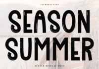 Season Summer Font - Featured Image