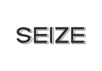 Seize Font - Featured Image