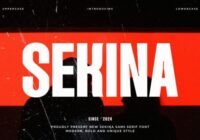 Sekina Font - Featured Image