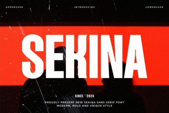 Sekina Font - Featured Image