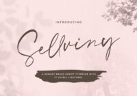 Sellviny Font - Featured Image