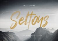 Seltons Font - Featured Image