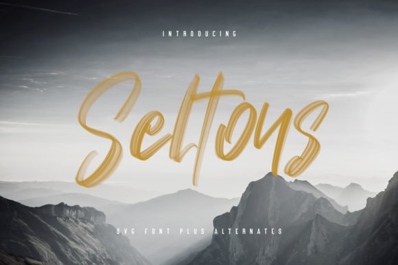 Seltons Font - Featured Image