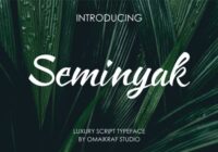 Seminyak Font - Featured Image