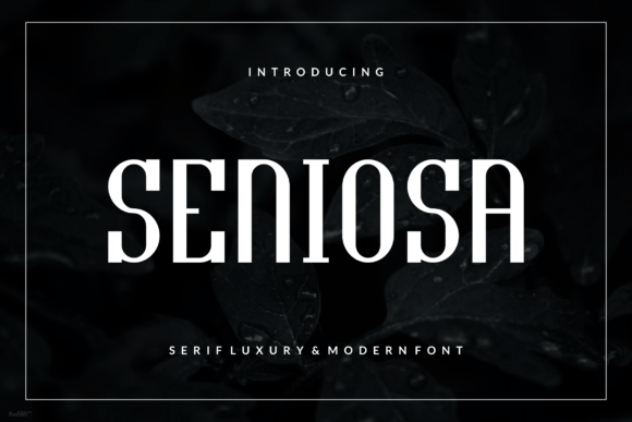 Seniosa Font - Featured Image